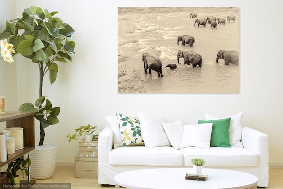 RIVER ELEPHANTS. Giclee Print, Sri Lanka, Elephants Print, Limited Edition, Photographic Print