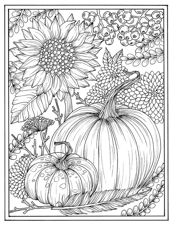 Fall flowers and pumpkins digital coloring page Thanksgiving