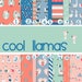 Cool Llama Vinyl, outdoor vinyl, vinyl sheets, heat transfer vinyl, adhesive vinyl, patterned vinyl, printed vinyl SKU 403