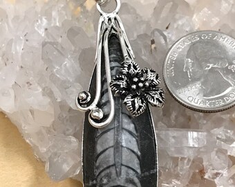 Orthoceras Fossil Pendant Necklace