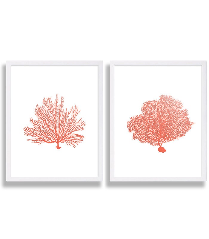 coral wall art prints coral color decor coral prints water