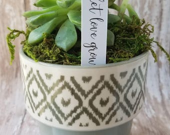 Let Love Grow Succulent Stake, Succulent Stake, Wedding Favor Plant Tag, Flag Tag, Plant Stake, Wedding Favor, Baby Shower, Plant (S09)