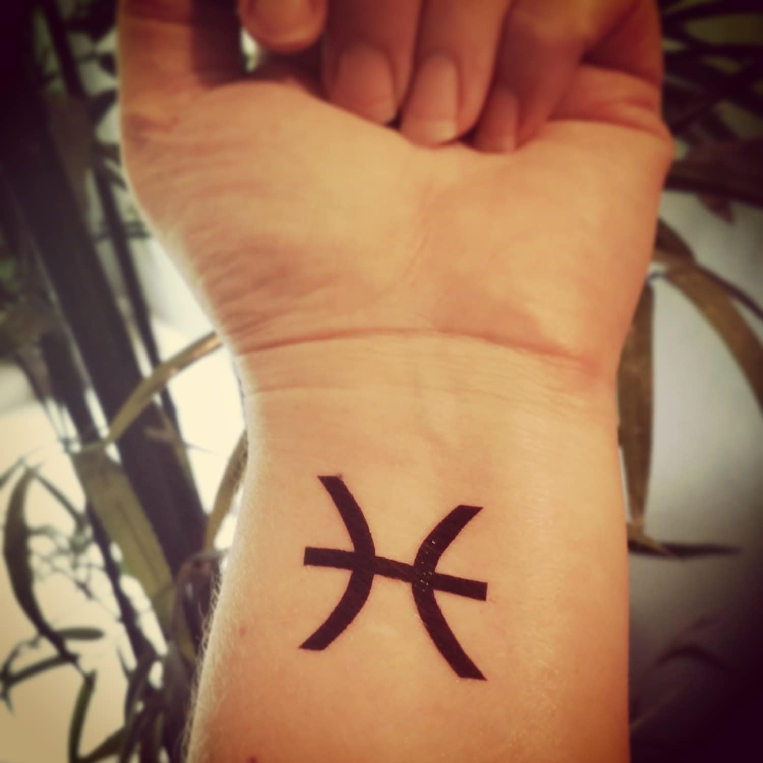 Signe Astrologique Poisson Tatouage Poisson Astrologie Tatouage zodiaque poissons tatouage temporaire faux tatouage