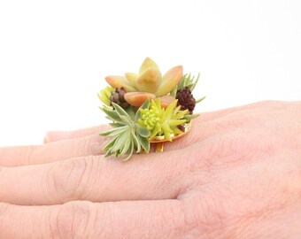 Chartreuse Succulent Botanical Ring