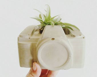 Camera Planter/Concrete Planter/Photographer Gift/Cactus Planter/Camera Decor/Vintage Camera/Retro Decor/Photographer/Photographer Lover