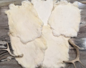 Real Rabbit Fur Pelt Animal Hide Tanned Leather Taxidermt Fur Canadian Small Farm