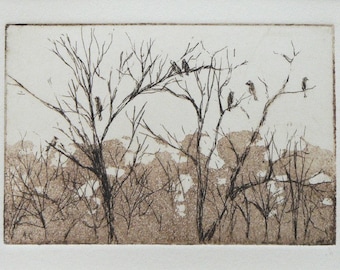 original etching and aquatint of woodland trees with birds