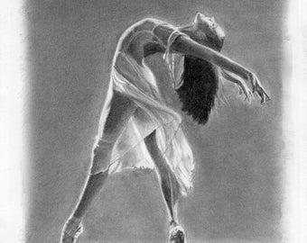 Custom graphite pencil drawing