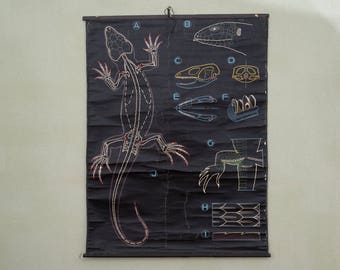 Auzoux - Sougy - lizard vintage school wall poster