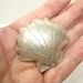 Destashing Large Sterling Silver Sea Shell Focal Bead