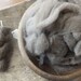 1 oz Qiviut (Musk Ox) Fiber for Spinning