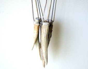Antler Tip Necklace