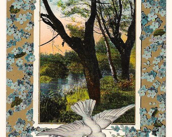 Lovebird with Forget-me-nots Postcard, c. 1910