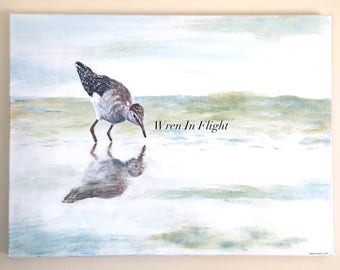 Reflection - Original Acrylic Painting - Sandpiper