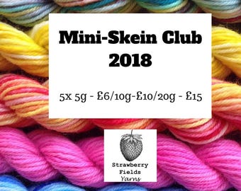 June Mini skein Yarn Club - 4ply Hand Dyed Mini Skein