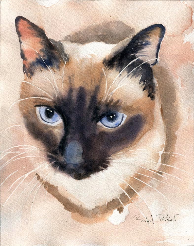 Print Applehead Siamese Cat Art Print Of A Watercolor Painting