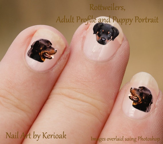 Rottweiler Nail Art, Dog Nail Art Stickers, Rottweiler Nail Stickers Rottweiler Nail Art, Dog Nail Art Stickers, Rottweiler Nail Stickers, Fingernail Stickers, adult puppy profile portrait, decals from Kerioak on Etsy Studio - Rottweiler Nail Art, Dog Nail Art Stickers, Rottweiler Nail Stickers