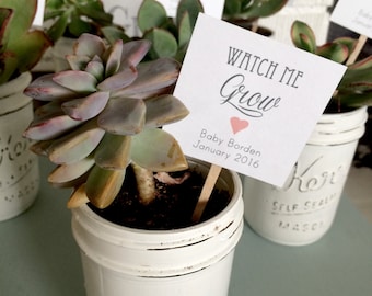 Set of 25- Watch Me Grow Succulent Favor Tags, Wedding Favor tags