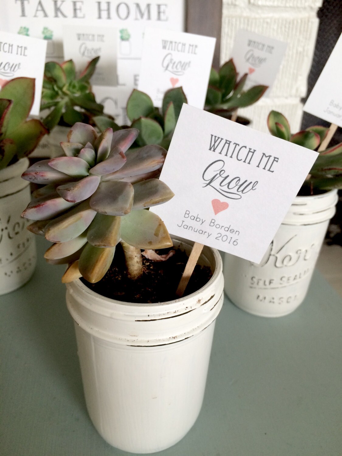 Set Of 25 Watch Me Grow Succulent Favor Tags Wedding Favor