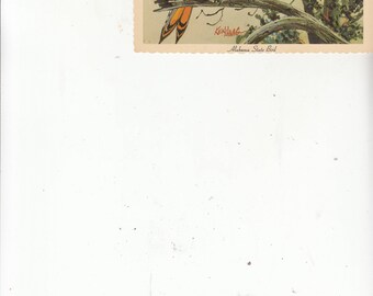 1960s Artist Ken Haag Postcard Alabama State Bird Yellowhammer Unused