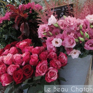 French Flowers Paris Digital Downloads: One single image and one collage sheet gift tags