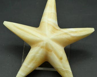 Banded Onyx starfish - Mineral Specimen for Sale