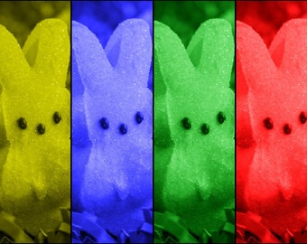 Easter Peeps Art Photography