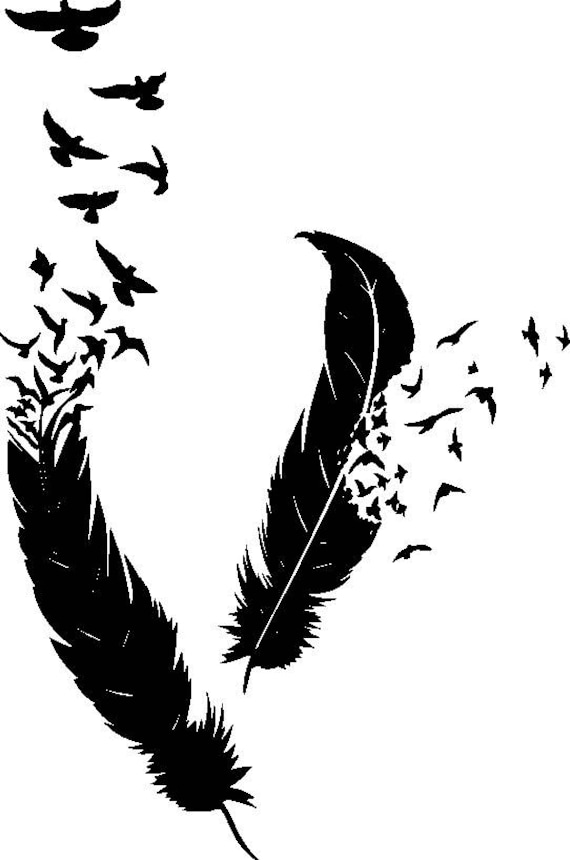 Download Feather Made Of Birds Art Writing Writer Symbolism Life ...
