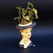 Vintage Napco Lady Head Vase 1958 C3343A parts doll original pearl earrings plastic fern flowers has broken thumb & glued break to bonnet