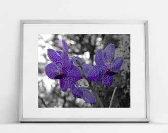 Exotic purple orchid flower instant digital download print, printable flower photo, printable orchid photography, contemporary digital photo