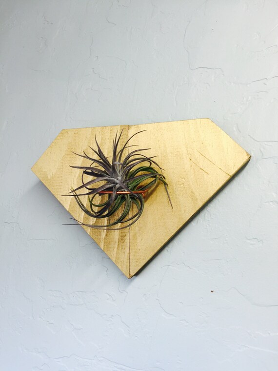 gold air plant holder