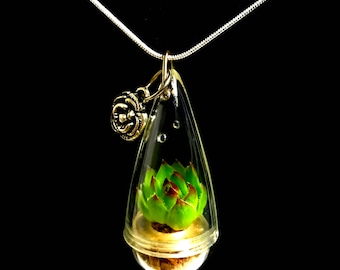 Live Succulent Necklace / Mini Lotus Succulent Terrarium Necklace / Miniature Terrarium / Exotic Succulent Plants / Perfect Gift for Her