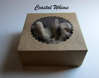 Beach Curiosity Kit, nature curiosity collection, Curio shelf starter, natural curiosity cabinet, oddity science biology specimen, beach kit