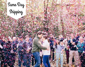 Gender Reveal| Gender Reveal Party| Gender Reveal Ideas| Gender Reveal Confetti Cannon| Smoke Bomb Alt| Gender Reveal Poppers| Popper