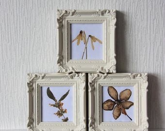 Set of 3 small framed pressed flowers, affordable, housewarming gift, new home gift, one of a kind, ooak,flowers, botany, cottage art.