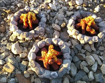 Minature Fire Pit