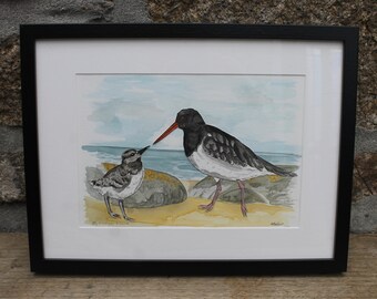 By the shore - Oystercatcher & chick. Original hand painted watercolour.