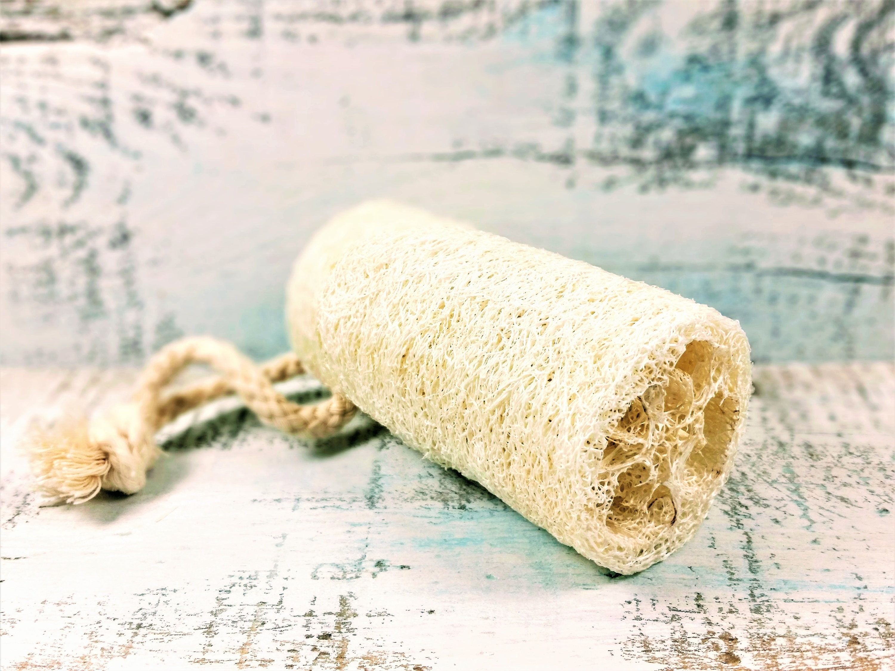 Organic Natural 4 Loofah loofa luffa vegan loofah