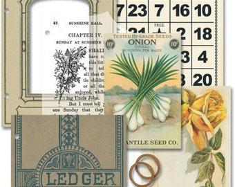 Jenni Bowlin: Hodge Podge Book, "Look"