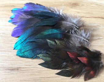 RARE Himalayan Monal Pheasant feathers