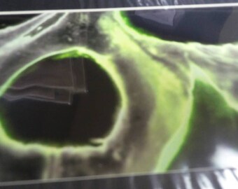 Photograph art 8x10 mat matted photography green black "creeping death" gothic art