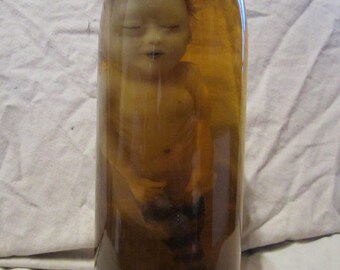 taxidermy cabinet of curiosities fetus taxidermy oddities mermaid siren
