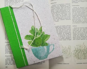 Garden journal, Bullet Journal, Notebook, A6 recycled paper diary, Cactus