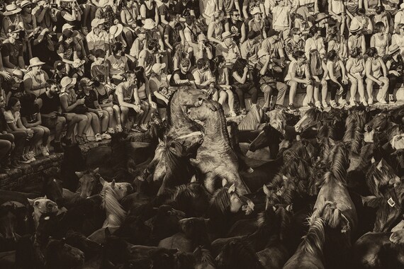 RAPA DAS BESTAS, Horse Prints, Equine Prints, Wild Horses, Horse Photography, Spanish Prints