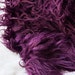 fur real plum