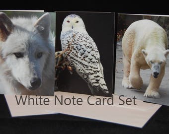 Animal Photography Note Cards with Envelopes- Set of 3 in White