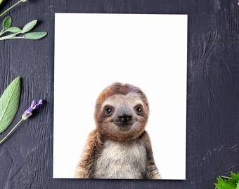 Sloth print, Nursery art, PRINTABLE art, Zoo animals, Nursery decor, Animal art, Baby animals, Nursery wall art, Kids art, The Crown Prints
