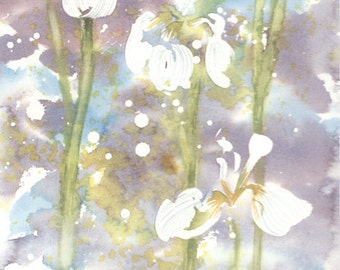 Fresh Pick No.301, original watercolor