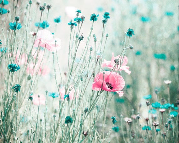 pink aqua flower photography teal blue nursery photo pale pink aqua flower photography teal blue nursery photo pale