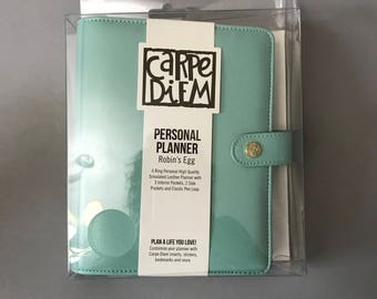 CARPE DIEM PLANNER, personal planner, A5 planner, blush planner, coral planner, robin's egg planner, new planner, planner supplies, binder